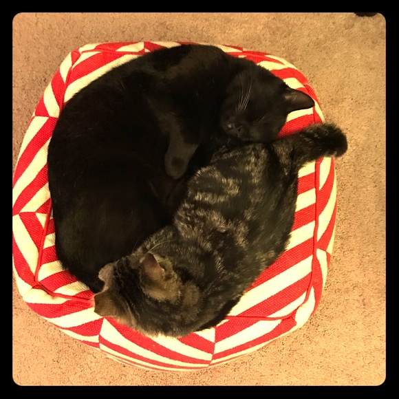 Meet your Posher, Sarah De - Picture 2 of 3